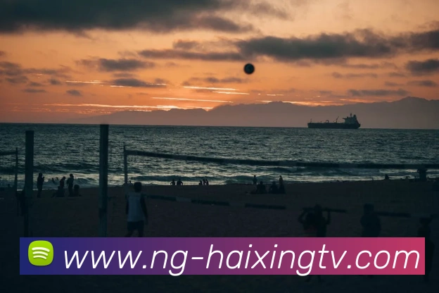 海星体育官网服务体系